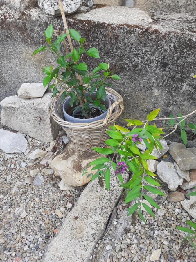 Promilhanes La Grange B&B 외부 사진